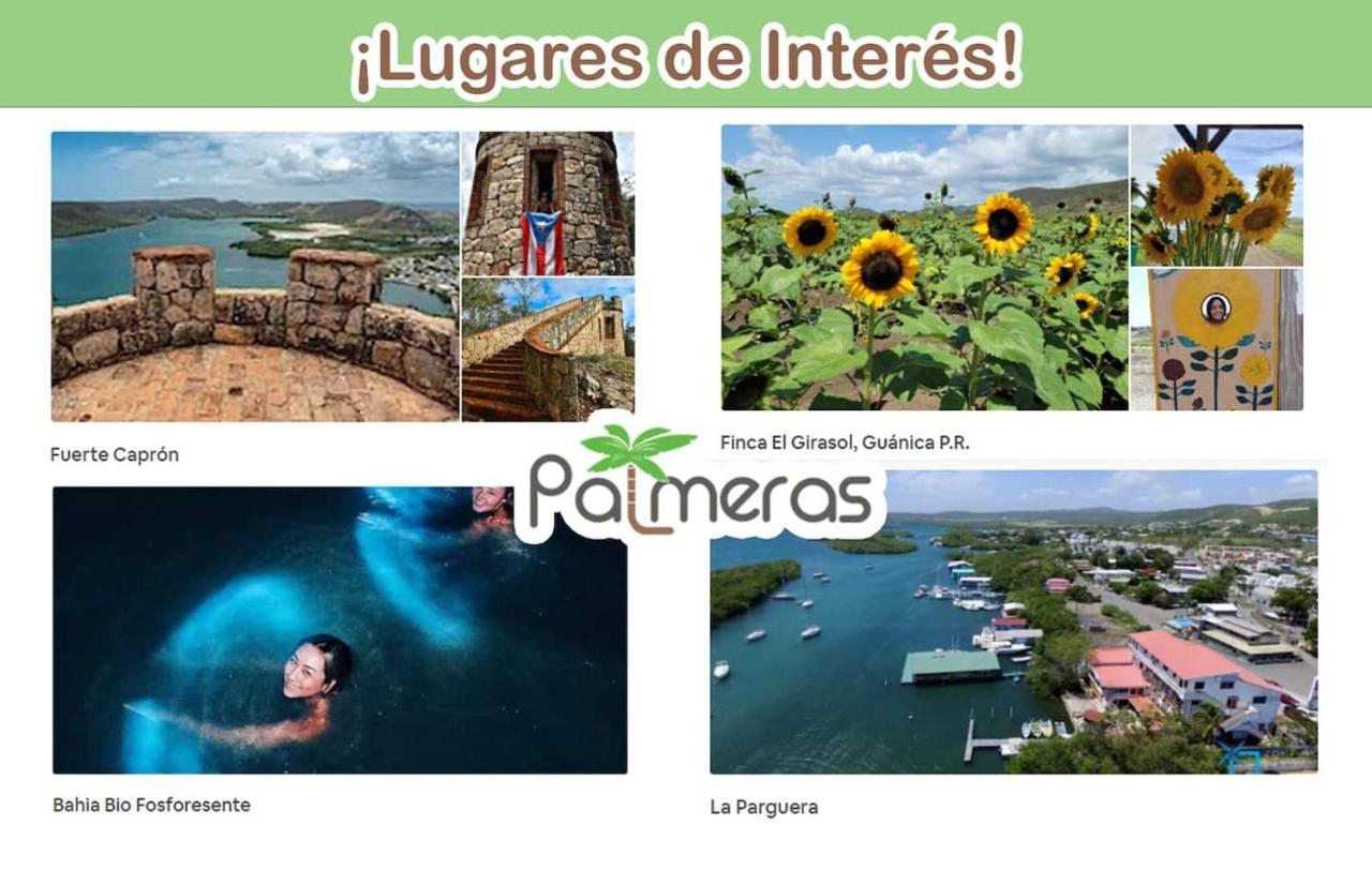 Palmeras Beach Apartments - Playa Santa Guanica Exterior photo