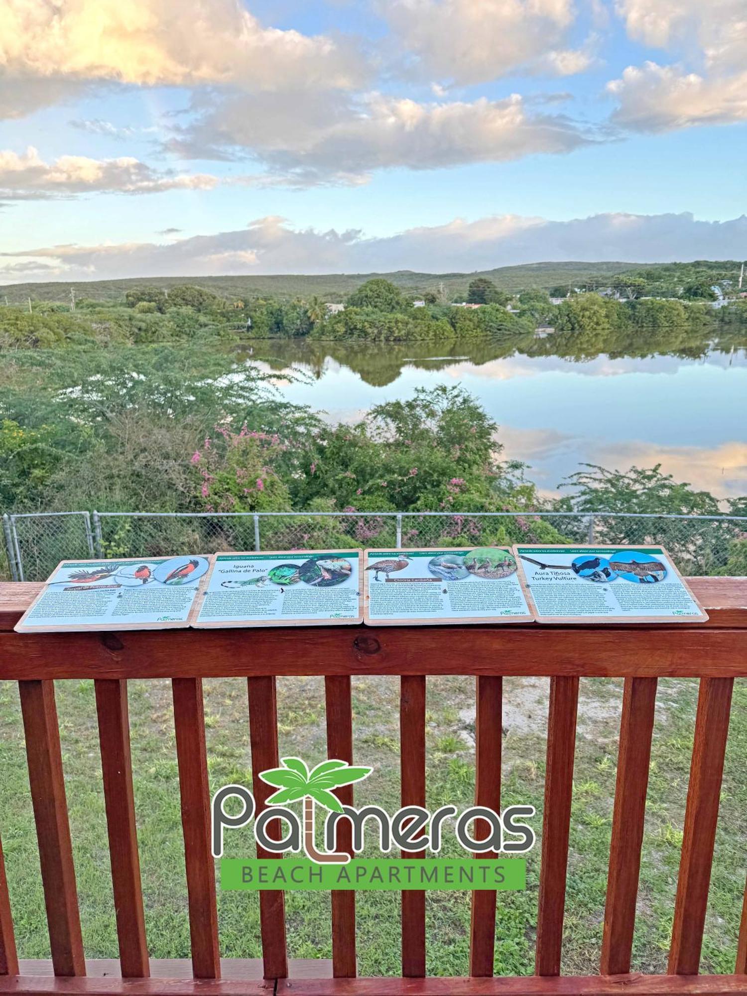 Palmeras Beach Apartments - Playa Santa Guanica Room photo